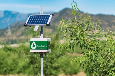 Vista panorámica de un cultivo al aire libre donde un panel solar abastece sensores y sistemas conectados como parte de una solución moderna con iot en la agricultura.