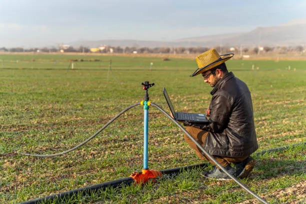 Hombre usando una computadora para analizar los datos de sensores de humedad, demostrando cómo los tipos de sensores ayudan a mejorar el riego