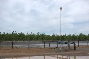 Sistema de riego por goteo operando entre hileras de cultivo, destacando visualmente para qué sirve el riego por goteo en el ahorro de agua y nutrición de plantas.