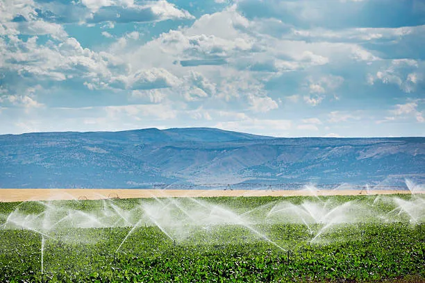 Precision irrigation system to optimize water consumption in crops, enhancing water efficiency.