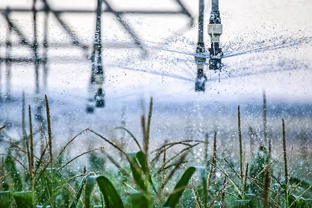 Installation of irrigation system that optimizes water management in agriculture for greater sustainability.