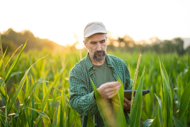 Persona con tableta en mano supervisando el campo, demostrando cómo la agricultura de precisión optimiza el uso de recursos y mejora los resultados Nombre: agricultor-tableta-agricultura-de-precision