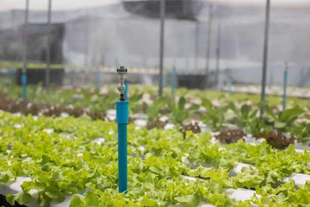 Automated irrigation system with controller to ensure efficient water management in crops.