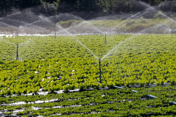 Irrigation system with intelligent monitoring, ensuring efficient use of water resources in agriculture.