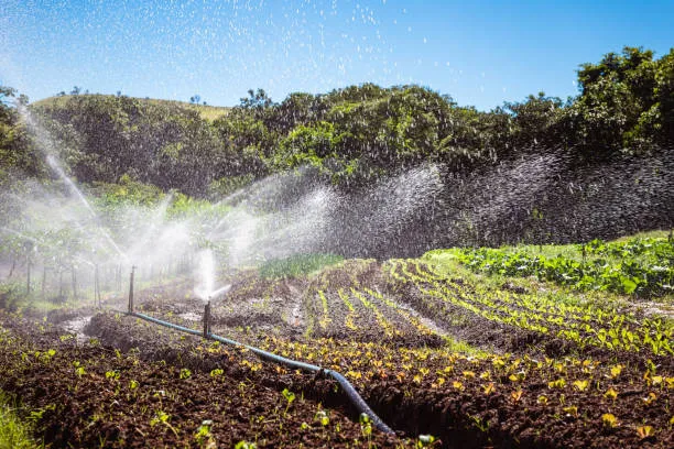 Advanced irrigation system for better water management and optimization in crop efficiency.