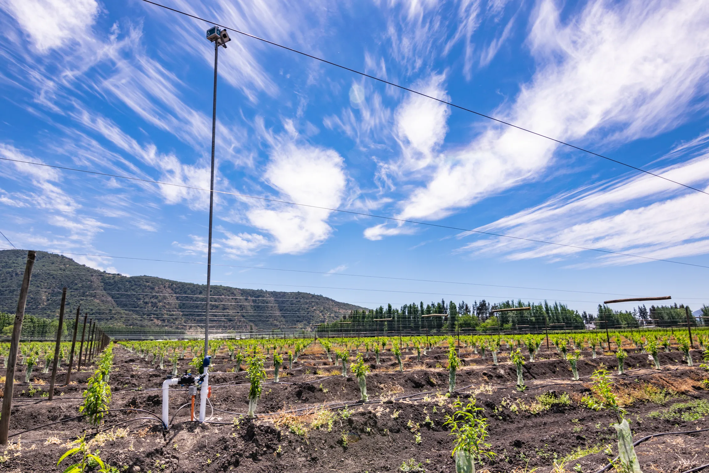Agricultural Field Managed with Advanced Sensors and Irrigation Software for Efficient Water Use