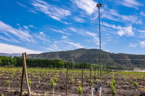 Integrated drop control devices along irrigation lines for precise tracking and maintenance of soil moisture levels.