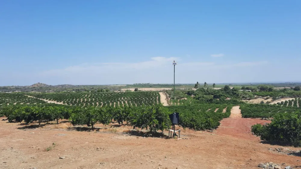 Vast farmland equipped with a comprehensive irrigation system to ensure continuous and smart water supply monitoring.