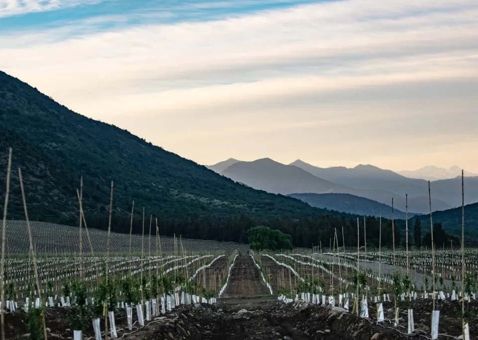Productive farmland with integrated irrigation pipelines actively transmitting data for efficient water supply monitoring.