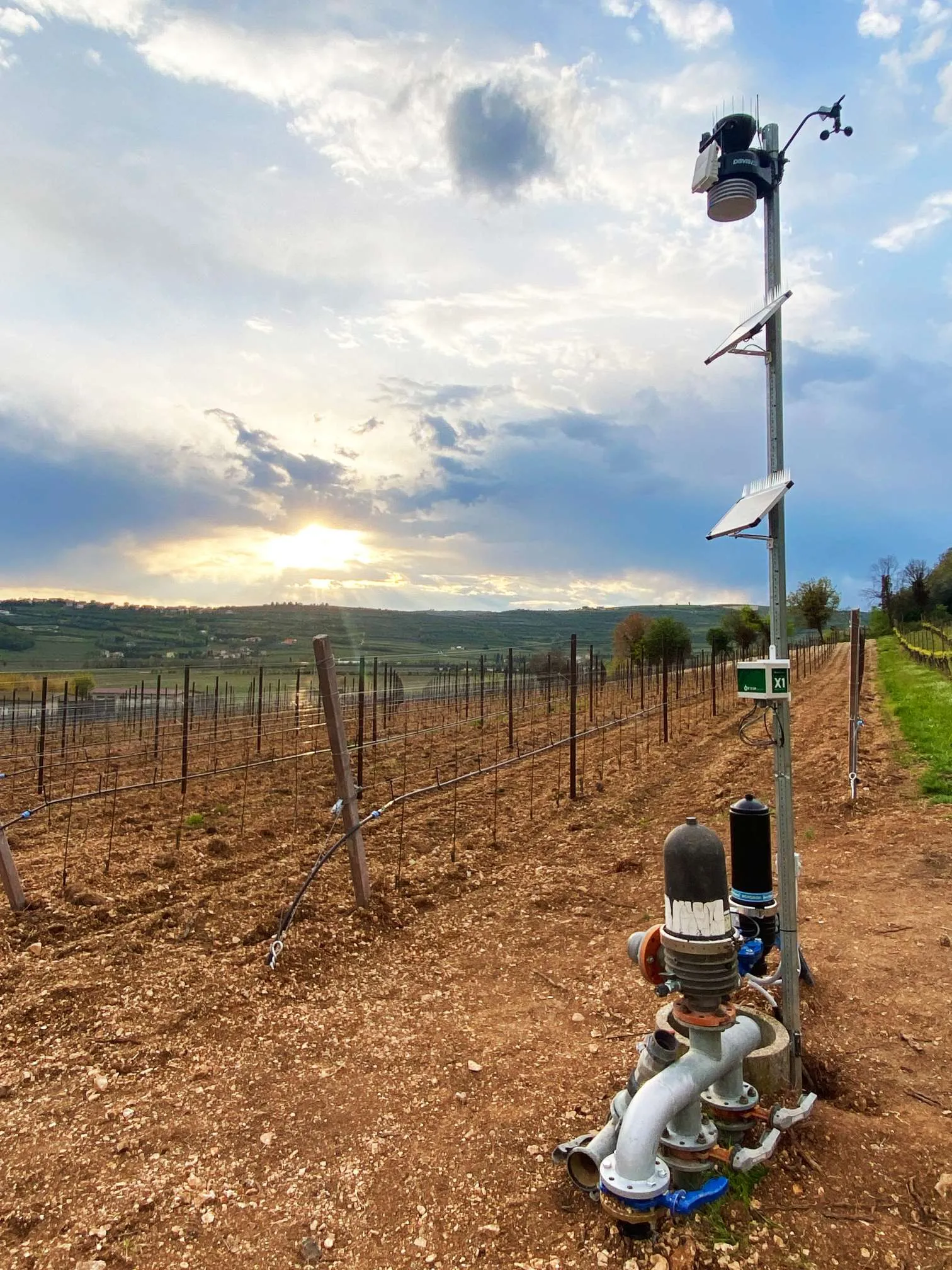 Terreno con rociadores y hardware inteligente instalado en poste para manejo en tiempo real del Sistema de rociadores.