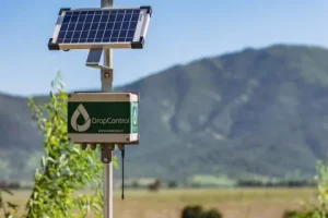 Vista amplia de un campo lleno de sensores de humedad conectados a un Temporizador de riego, ilustrando monitoreo inteligente y riego automatizado. 3.fertirrigación y riego.jpg