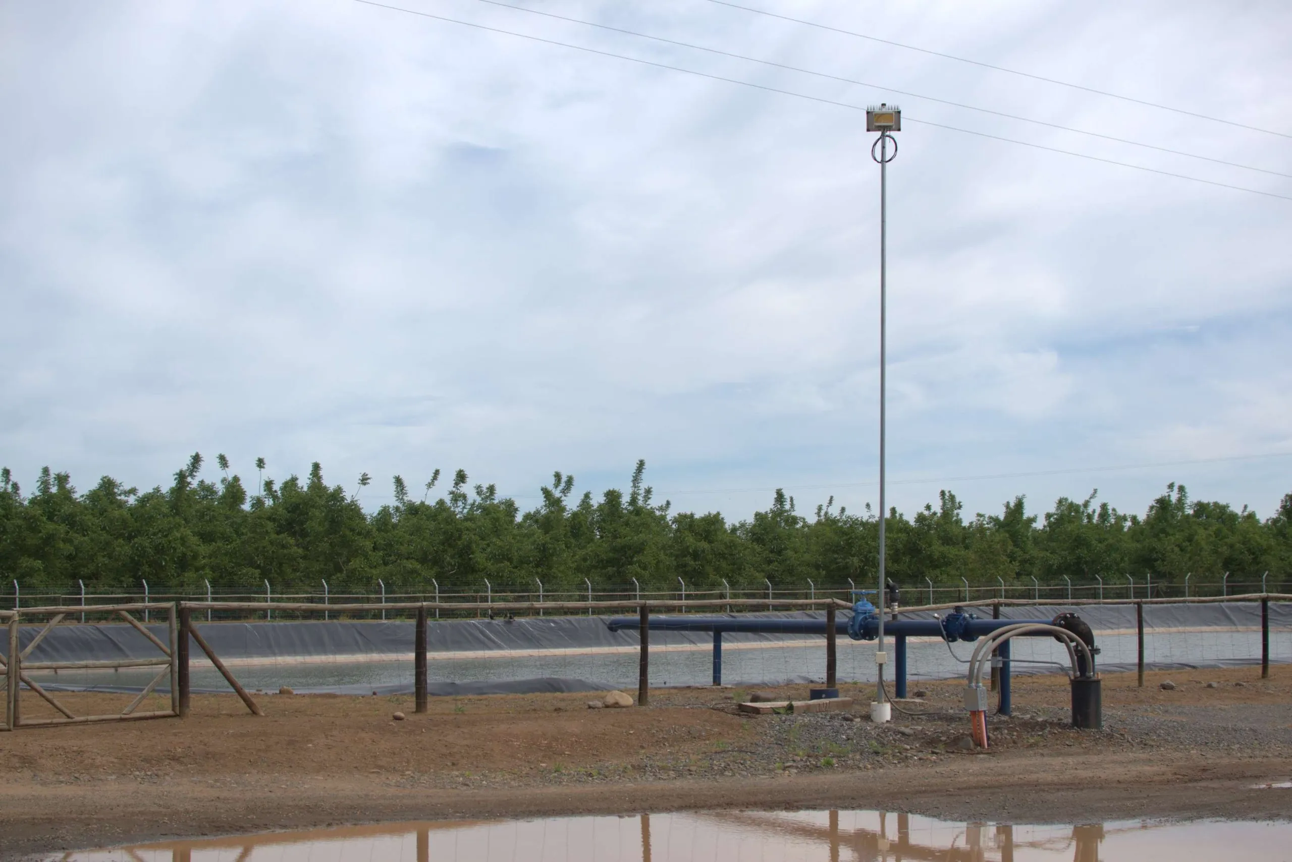 Gran campo cultivado con una red de riego interconectada que proporciona datos para optimizar recursos mediante IA en la agricultura