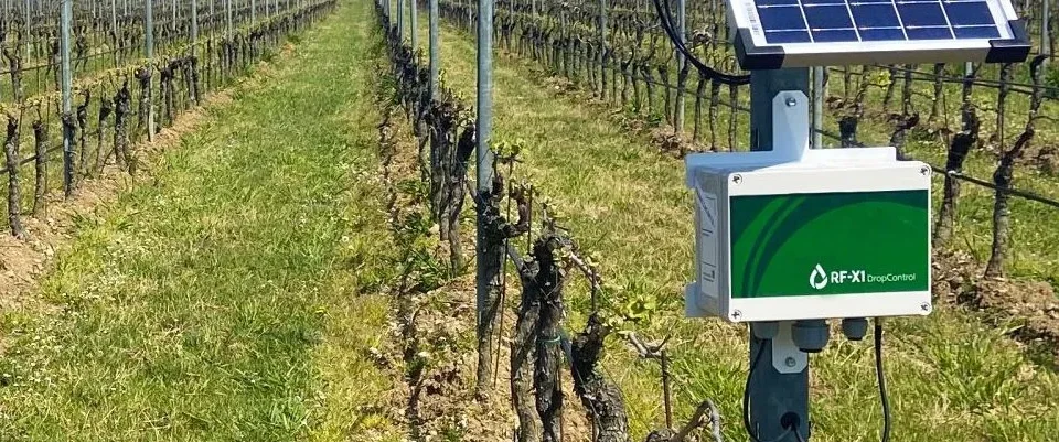 Rural path equipped with advanced sensors and monitoring software, essential tools for innovative Irrigation Equipment Suppliers.