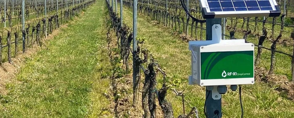 Rural path equipped with advanced sensors and monitoring software, essential tools for innovative Irrigation Equipment Suppliers.
