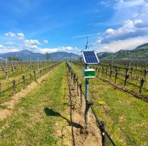 Agricultural field equipped with a solar panel and Drop Control hardware designed for real-time Soil temperature monitoring in irrigation.