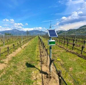 A compact solar cell mounted on a post powering field monitoring devices, improving efficiency with Water telemetry systems.