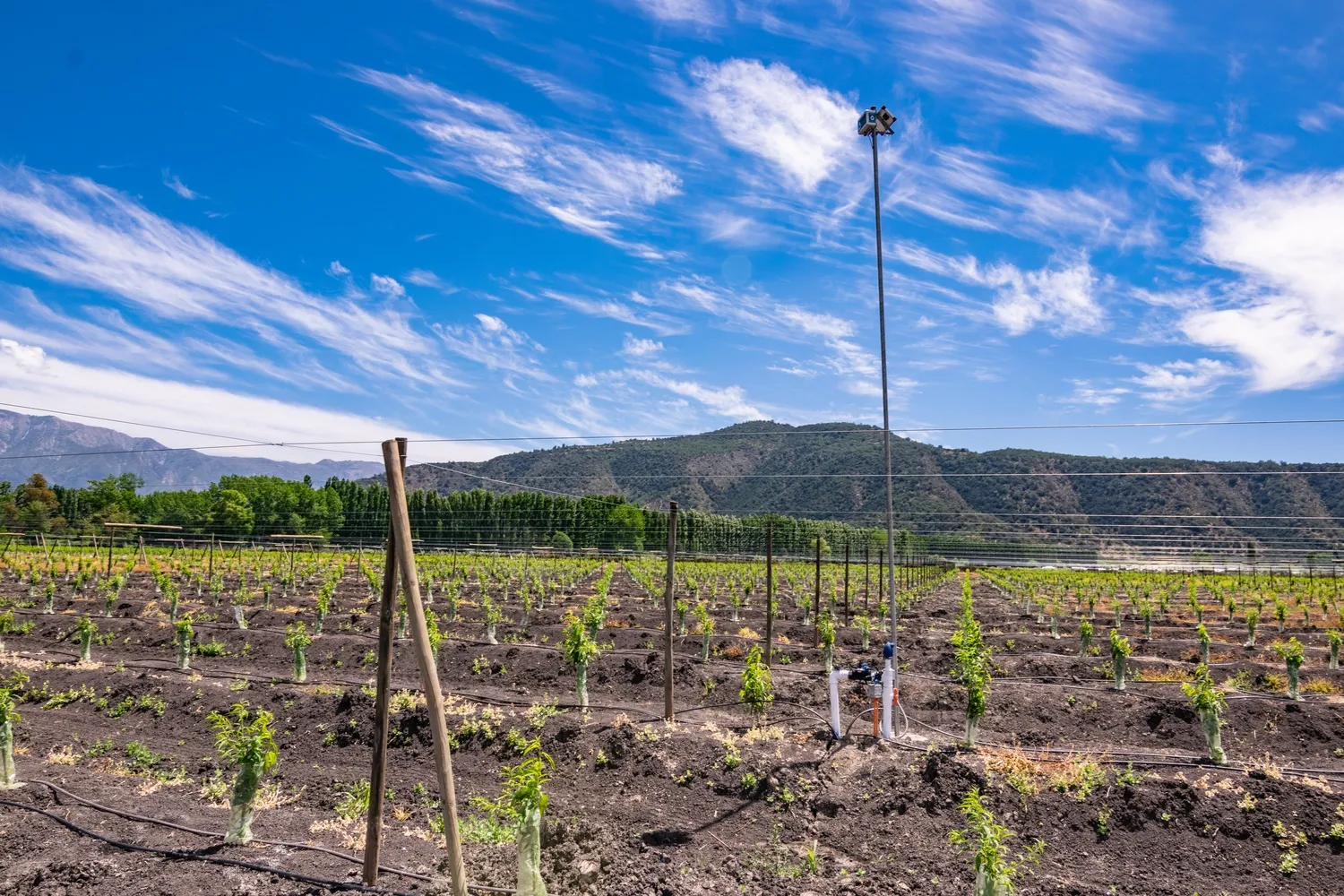Complete DROP CONTROL system installed in the field, optimizing water resources through farm automation solutions