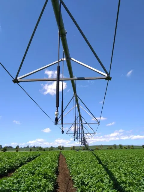 Agricultural field with automated irrigation system, demonstrating how to automate farm irrigation efficiently.